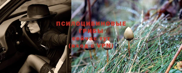 сатива Алексин