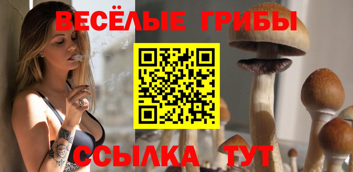 Псилоцибиновые грибы Cubensis Ефремов